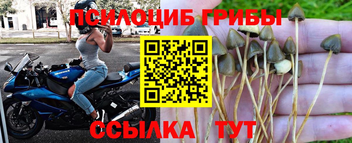 Галлюциногенные грибы Psilocybe  Галлюциногенные грибы мицелий  Благовещенск  Вход с VPN 