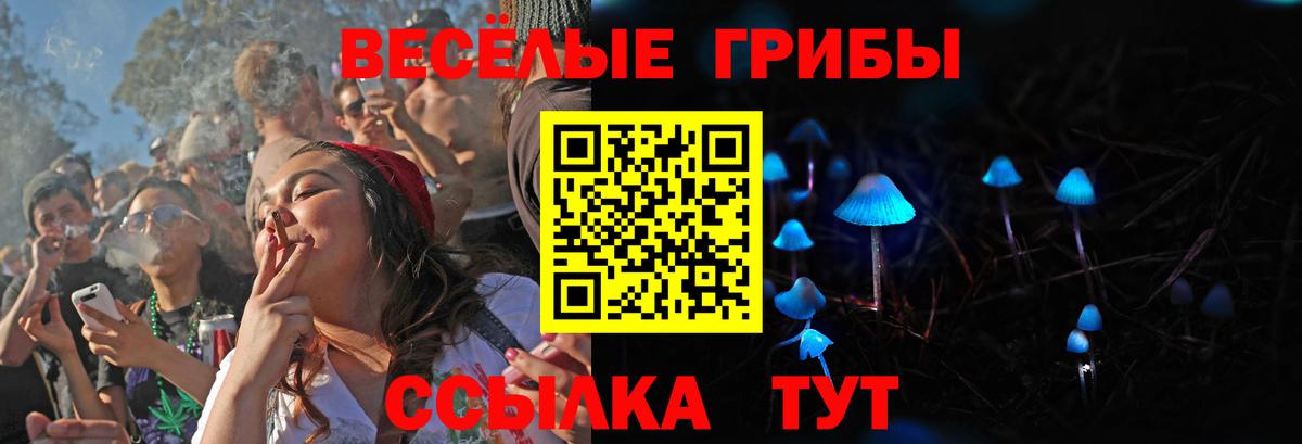 Псилоцибиновые грибы Cubensis Благовещенск